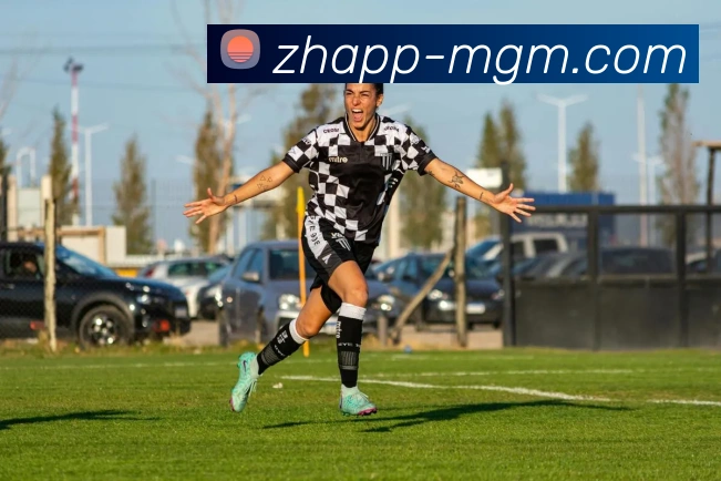 美高梅官网APP 封面图